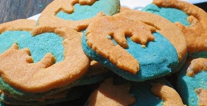 Что такое cookie и как их почистить в Mozilla Firefox